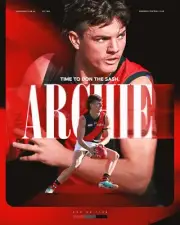 ESSENDON BOMBERS FOOTBALL LEGEND CHAMPION PLAYER TEAM POSTER,FREE POST, BARGAIN
