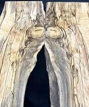 Live Edge Black Line Spalted Hard Maple Bookmatch Set Of Two Boards Craft Wood