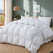 Luxury Duvet Down Comforter Queen Size Goose Feather Duvet,Filled with Feather and Down Fiber 56 OZ - All Season White Duvet Insert-750 Fill Power 100% Cotton Shell 8 Corner Tabs 90 x 90 Inch