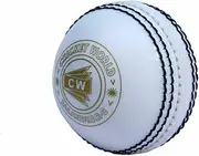 CW Spin Incredible PVC Poly Soft Practice Cricket Ball for All Age Player 1 PCS White