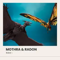 在飛比找蝦皮商城精選優惠-哥吉拉怪獸之王公仔 - Mothra & Radon