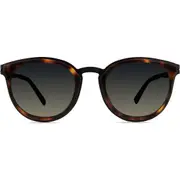 Modo 453 Sunglasses in Tortoise at Nordstrom One Size