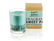 Scents Of Nature Soy Candle 240 g - Fragrant Sweet Pea by Tilley FG1257