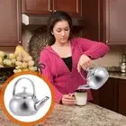 Teakettle Infuser Boiling Kettle Iron Teapot Stainless Steel Teakettle