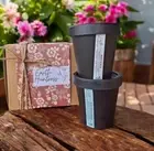 Boronia + Calendula. Body Care Gift Set. Mother's Day. Body lotion & Scrub.