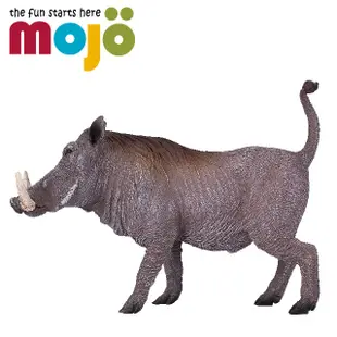 Mojo Fun動物模型-疣豬