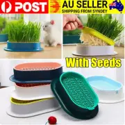 Cat Grass Cultivation Kit Catnip Planting Box Cat Grass Growing Box with Seeds