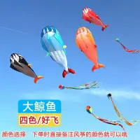 在飛比找樂天市場購物網優惠-濰坊風箏 高檔軟體鯨魚風箏 大型好飛易飛成人風箏 正品