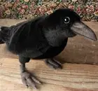 Crow Realistic Stuffed Plush Doll HANSA BH6266