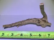 Natural Driftwood #TDW1098