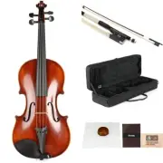 Eastman VL305 Andreas Eastman Intermediate Violin Outfit - 4/4-size