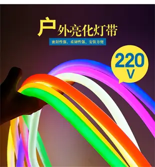 柔性燈帶led戶外彩色12V霓虹360度發光圓形長條冷光防水軟管高亮改造導光軟燈條招牌燈管條型批發diy不見燈珠