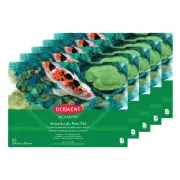 5pc Derwent Academy A3 300gsm 12pg Artist Acrylic Paint Pad/Book/Art Paper