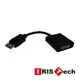 IRISTech彩原 DisplayPort to DVI Active Adapter