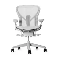 在飛比找momo購物網優惠-【Herman Miller】Aeron 2.0 人體工學椅