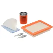 Maintenance Kit for 11,000 Watt Generator: 530cc Engine (2013 and Later Models)