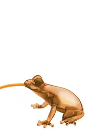 QEEBOO 'Hungry Frog' Lamp