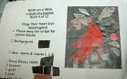 Primitive Quilt Kit # 6 Sings Their Heart Out- Mockingbird Birds of a Feather