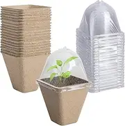 20-Pack Biodegradable Nursery Pots with Humidity Dome - 6cm Square Seed Starter Pots for Plants, Flowers, Vegetables - Eco-Friendly Peat Pots for Seedlings Germination