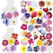 6 Packs Flower Sticker Scrapbook Decorative Petal Planner Assorted Plant Journal for Adults - Card Making, Diary, Photo Album, Handcrafts (Anson)