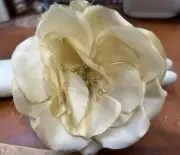 vintage millinery 1960s hand rolled flower rose 6" egg nog yellow silk 1pc USA