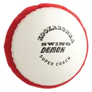 Swing Demon Ball