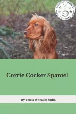 Corrie Cocker Spaniel