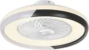 Modern Ceiling Fan Lamp with Remote Control 3-Color Light 3 Speed Wind 50cm Ceiling Fans 220V LED Lighting for Bedroom Living Room Dining Room Decor