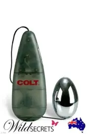 NEW COLT Power Egg 2 inch Remote Controlled Egg Vibrator, Wild Secrets