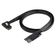M.2(M-Key NVMe 2260 size) to SAS SFF-8087 Left Bend Converter Cable For Server