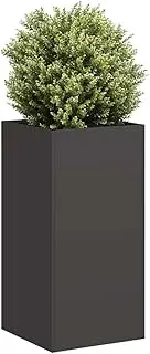 Planter Herb Flower Black Galvanized Steel Metal for Raised Garden Vegetable Outdoor Box, 40x40x80cm
