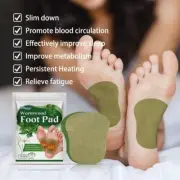 WORMWOOD Detox Foot Patch Original Slimming Patch Weight Loss Fast [24 Pcs]