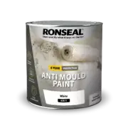 RONSEAL ANTI MOULD PAINT MATT WHITE 750ML