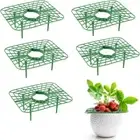 5Pcs Square Strawberry Stand Holder Plastic Planter Tray Balcony