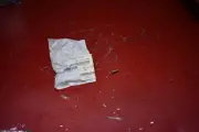 Ski-doo Can-am New OEM ATV/UTV Snowmobile Screw-Hex Cap, 207151644 QTY OF 10
