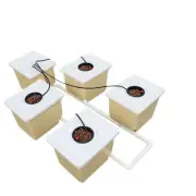 Dutch Buckets Pot Drip Growing Kit DWC Bato Bucket Hydroponic Complete System
