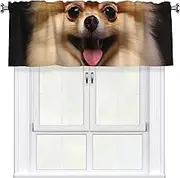 LHBWCVN Happy Short-haired Pomeranian Valances for Windows, Rod Pocket Window Treatment Drapes Farmhouse Kitchen Curtains Short Blackout Window Curtains for Living Room Bedroom Decor 54x18 Inch