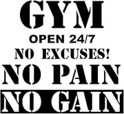 2 Sheets Gym Wall Decal No Pain No Gain Sticker Gym Open 24/7 Motivation Sticker Quote Inspirational Large Art Decor Vinyl Decal Huge Fitness Centre Wall Quote for Home Yoga Exercise Fitness