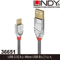 在飛比找蝦皮購物優惠-【MR3C】含稅 LINDY 36651 CROMO USB