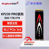 在飛比找蝦皮購物優惠-【現貨】金百達固態硬盤KP230 Pro1TB 2TB SS