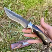 Customizable Damascus Steel Fixed Blade Knife With Snake Skin Sheath Wood Handle