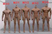 1/6 TBLeague PHICEN M30 M31 M32 M33 M34 M35 Male Body 12''Action Figure Toys