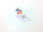 Chincol, Watercolor artwork, Handmade, Original painting on paper