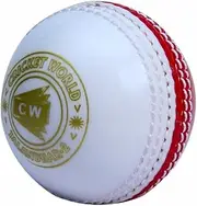 CW Spin Incredible PVC Poly Soft Practice Cricket Ball for All Age Player 1 PCS RED/White