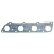 Platinum Extractor Gasket - HSM36