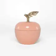 Rayell Decor Adam Home Decor Box 8x10x8cm Jewellery/Trinket/Key Storage Peach