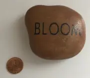 POLISHED STONE ROCK MINERAL PAPERWEIGHT “BLOOM”
