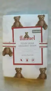 Pottery Barn holiday PILLOW SHAM Disney Teddy Bear gift Christmas Kid Toy School