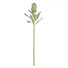 Rogue Artificial Flower Stem Australis Native Protea Floral Arrangement Green