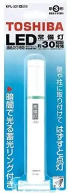 在飛比找Yahoo!奇摩拍賣優惠-日本 TOSHIBA 東芝 LED 電池式 手電筒 旅館 飯